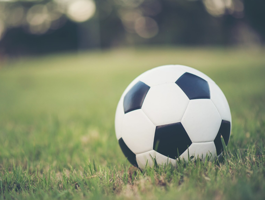 Dolnośląskie kluby i stowarzyszenia sportowe – czas na działanie
