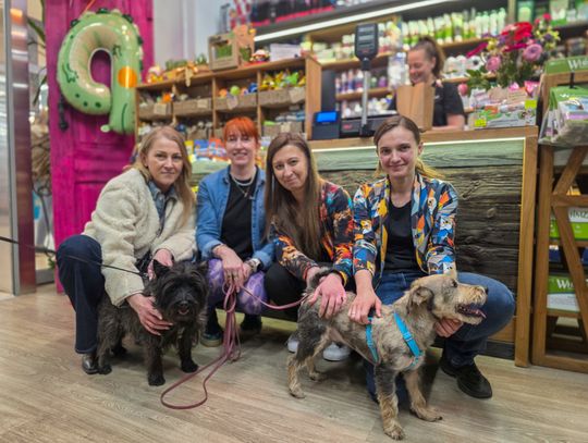 Gdy biznes ma serce. Jagodzianki, Zwierzogród i lokalna solidarność dla zwierząt