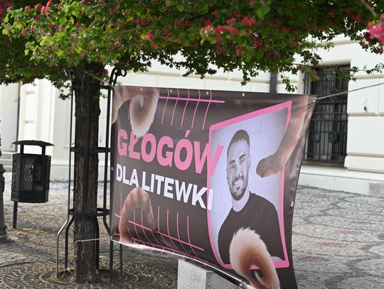 Głogów dla Litewki