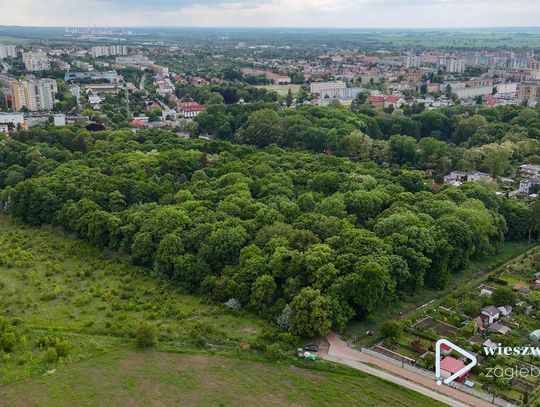 Karty kolonijne dla dzieci z gminy Głogów - rusza akcja ich wydawania