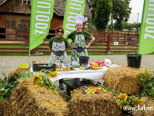 „Kulturalne lato” wystartowało