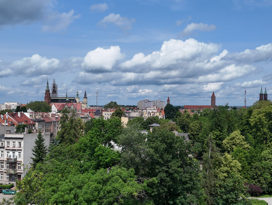Legnica pięknieje w oczach pod rządami Macieja Kupaja