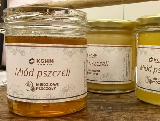 Miedziowe Pszczoły” w akcji – II Miodobranie w KGHM za nami