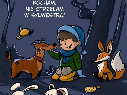 Sylwester z empatią czy hukiem? Różne podejścia miast Zagłębia Miedziowego