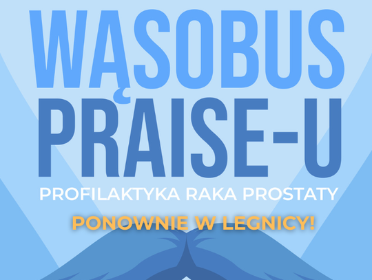 Wąsobus wraca do Legnicy! Ogromne zainteresowanie badaniami