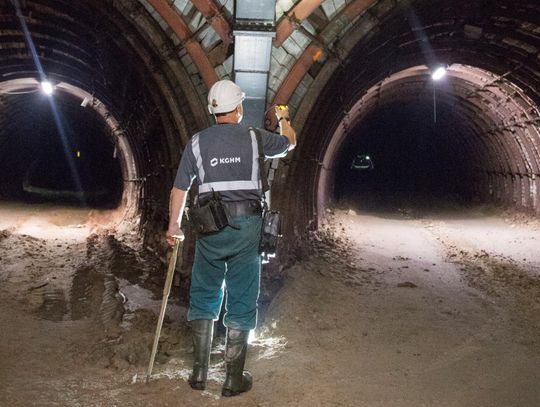 Wybory do Rady Nadorczej już niebawem