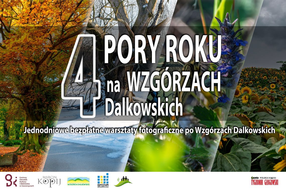 4 pory roku na Wzgórzach Dalkowskich