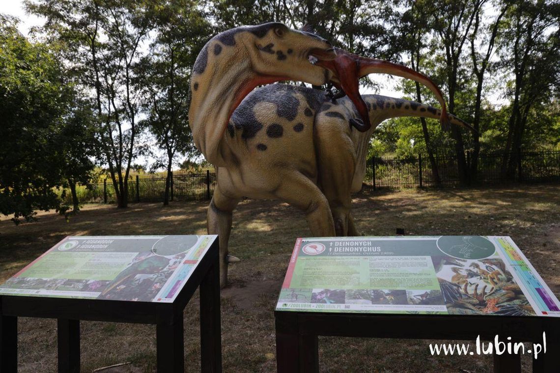 Dinozaury w zoo odświeżone. Dyrektor apeluje do rodziców