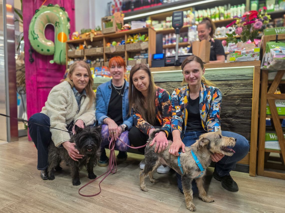 Gdy biznes ma serce. Jagodzianki, Zwierzogród i lokalna solidarność dla zwierząt