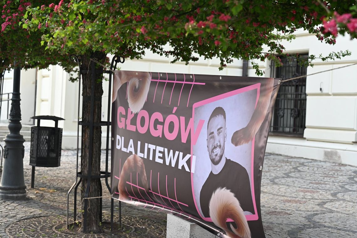 Głogów dla Litewki