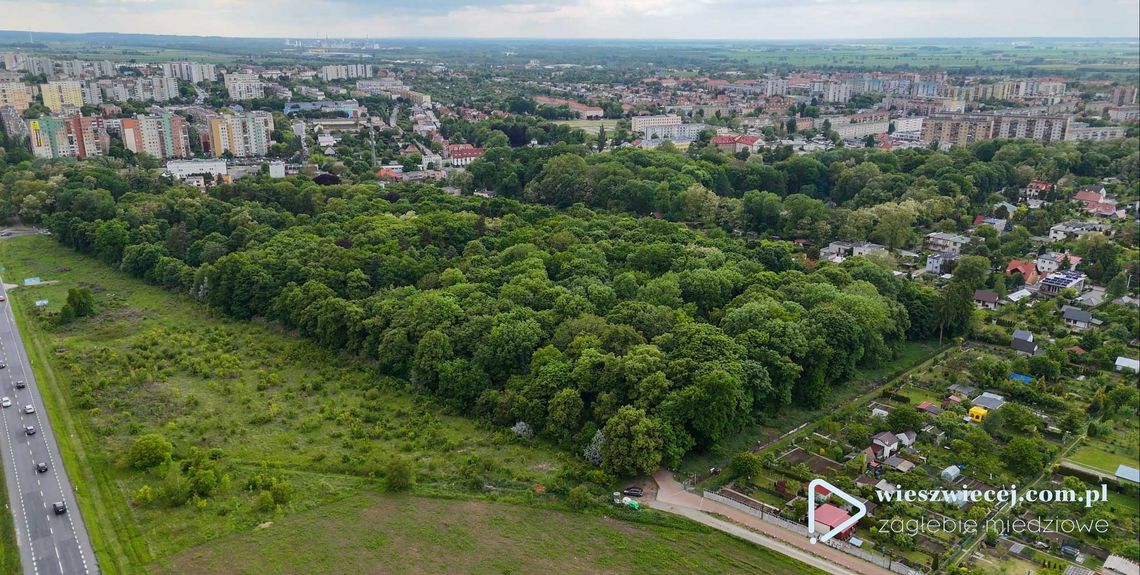 Karty kolonijne dla dzieci z gminy Głogów - rusza akcja ich wydawania