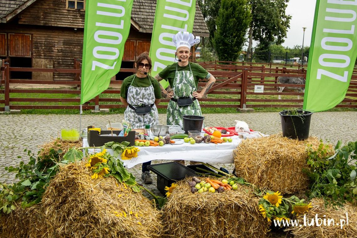 „Kulturalne lato” wystartowało