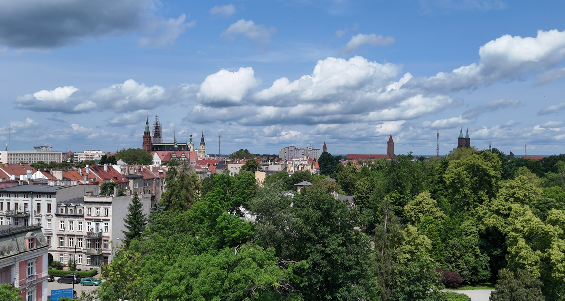 Legnica pięknieje w oczach pod rządami Macieja Kupaja