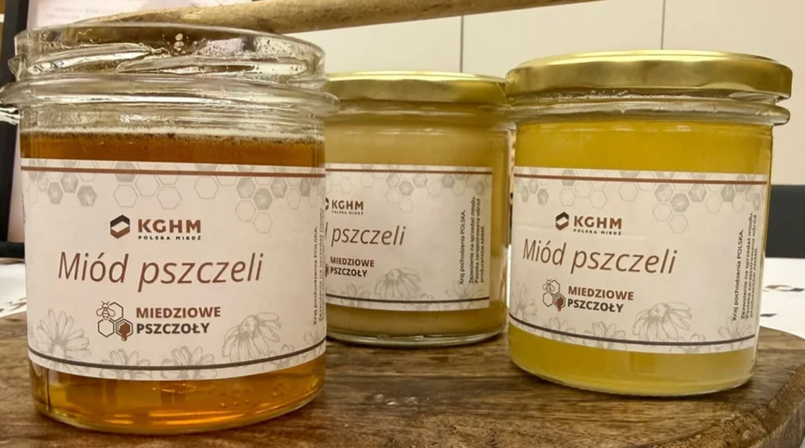 Miedziowe Pszczoły” w akcji – II Miodobranie w KGHM za nami Miedziowe Pszczoły” w akcji – II Miodobranie w KGHM za nami