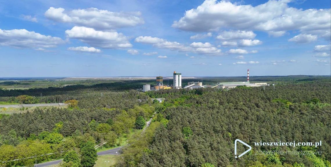 Ogłoszenie o wyłożeniu do publicznej wiadomości: „Projektu planu urządzenia lasu” Ogłoszenie o wyłożeniu do publicznej wiadomości: „Projektu planu urządzenia lasu”