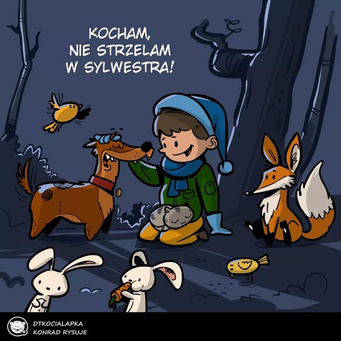 Sylwester z empatią czy hukiem? Różne podejścia miast Zagłębia Miedziowego Sylwester z empatią czy hukiem? Różne podejścia miast Zagłębia Miedziowego