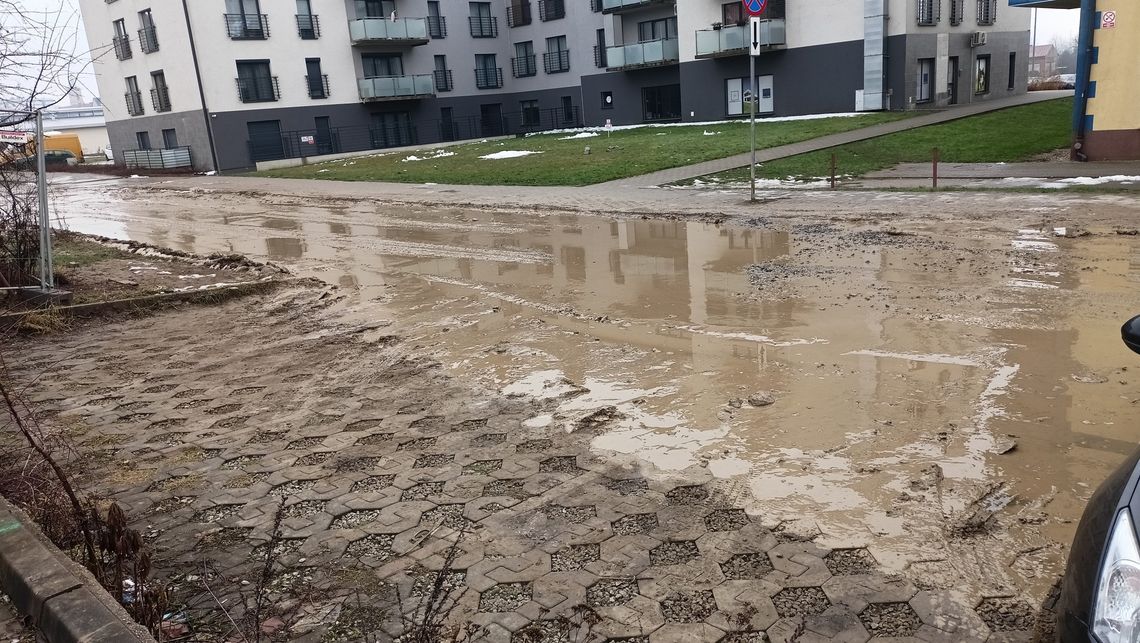 „Żyjemy jak zwierzęta". Mieszkańcy ul. Słubickiej alarmują „Żyjemy jak zwierzęta". Mieszkańcy ul. Słubickiej alarmują